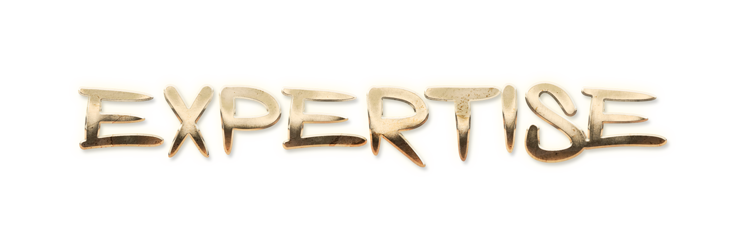 WORD EXPERTISE gold text effects art typography PNG images free